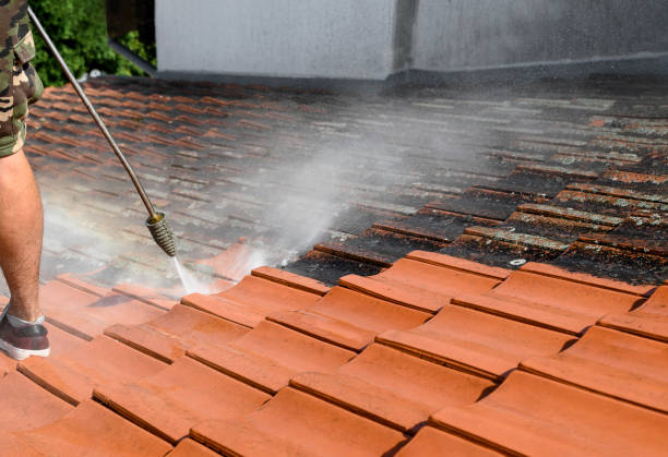 Douglas, AZ Pressure Washing Pros