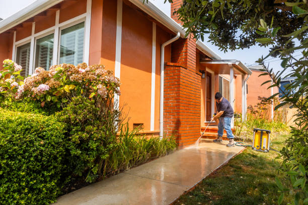 Best Pressure Washing Near Me  in Douglas, AZ